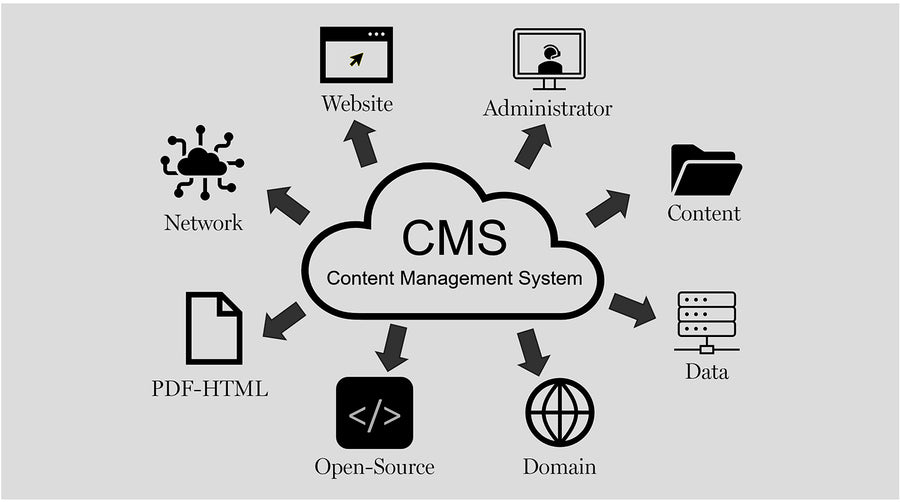 Shopify & WordPress Development Services in USA
